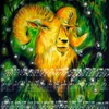 2010 Harmonie der Spharen_24